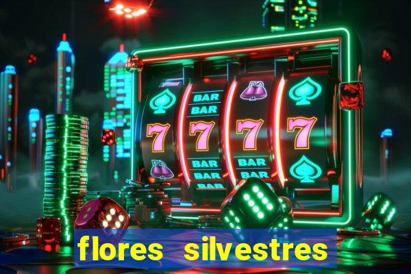 flores silvestres desbravadores desbravadores 25 flores silvestres e seus nomes